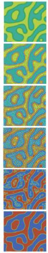 (Sequence of images from top to bottom showing reaction induced phase separation, by Nigel Clarke, Durham.)