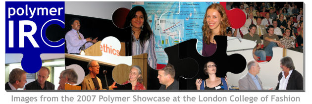(Photo-montage of people at the 2007 PolymerShowcase meeting.)